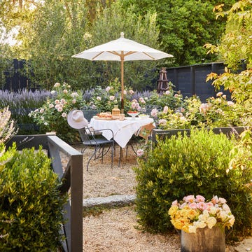 Garden dining area featuring a table under a parasol surrounded by flowers.