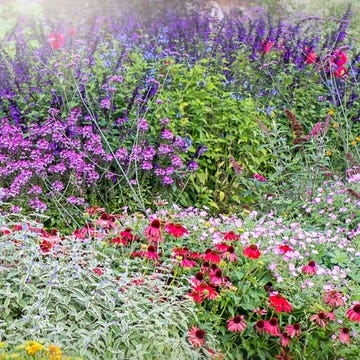 garden trends 2026