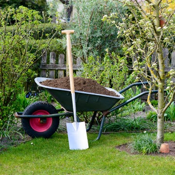 Wheelbarrow with compost